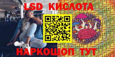 прущие крисы Михайловка