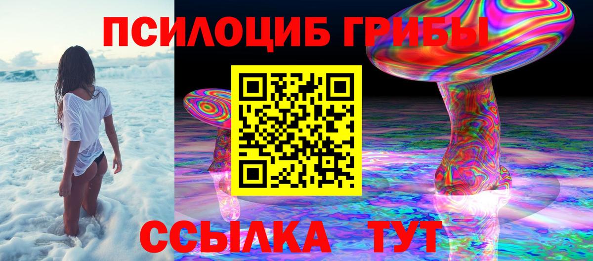 закладка  Вход с VPN  Лениногорск  Галлюциногенные грибы Psilocybine cubensis 
